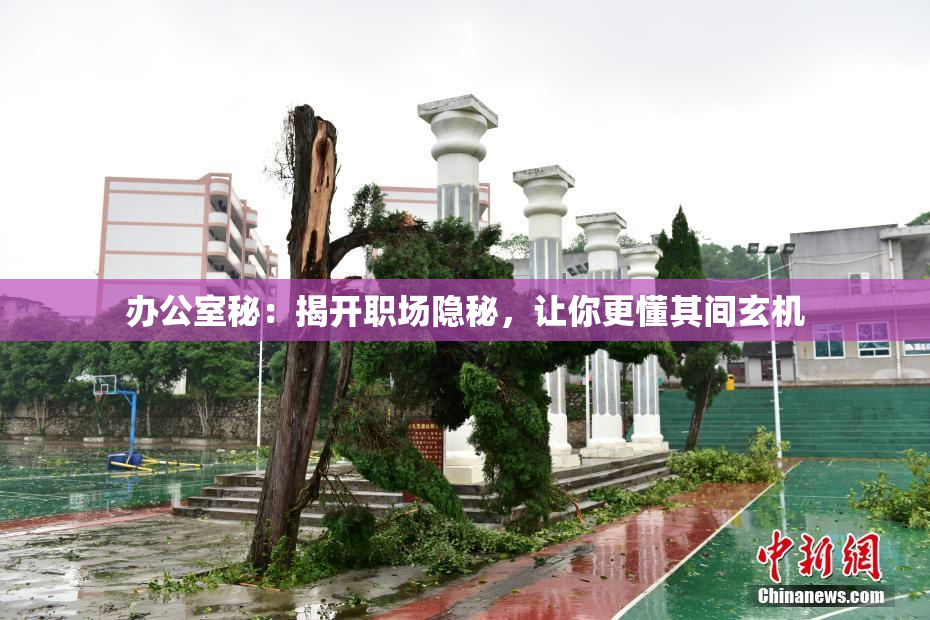 办公室秘：揭开职场隐秘，让你更懂其间玄机