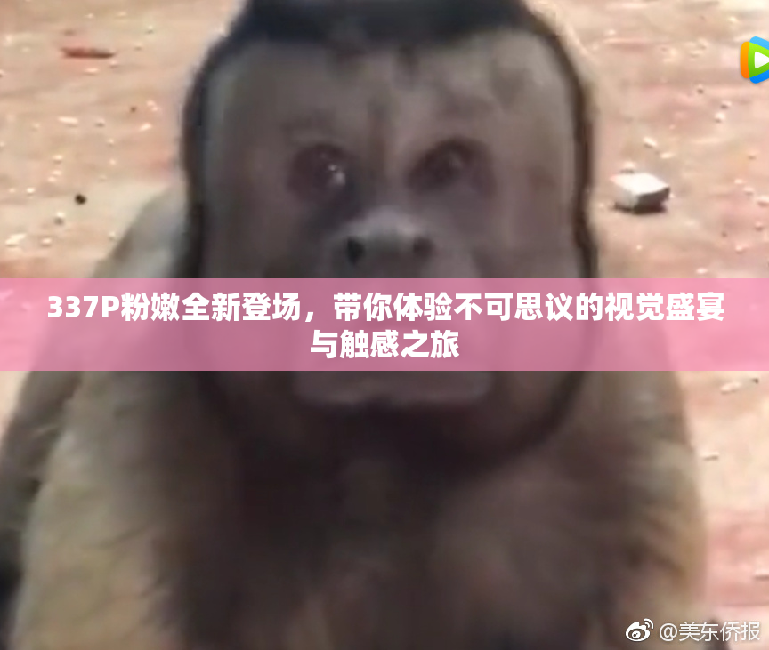 337P粉嫩全新登场，带你体验不可思议的视觉盛宴与触感之旅