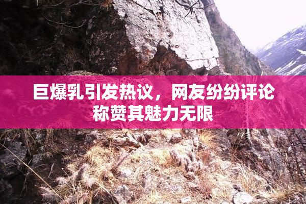 巨爆乳引发热议，网友纷纷评论称赞其魅力无限