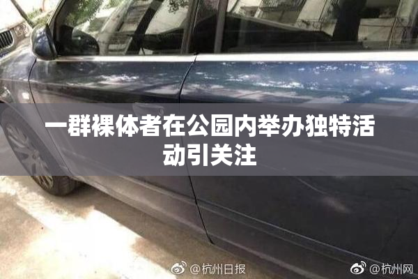一群裸体者在公园内举办独特活动引关注