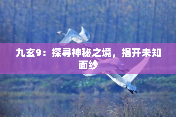 九玄9：探寻神秘之境，揭开未知面纱