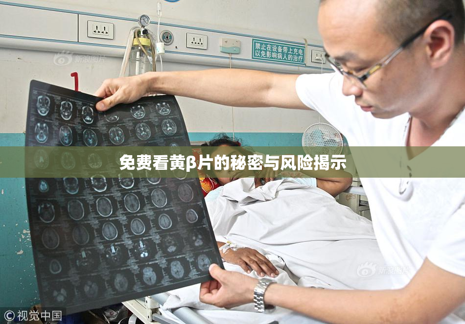 免费看黄β片的秘密与风险揭示