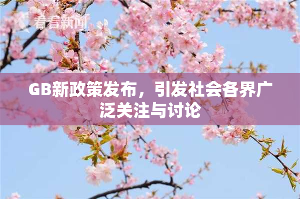 GB新政策发布，引发社会各界广泛关注与讨论