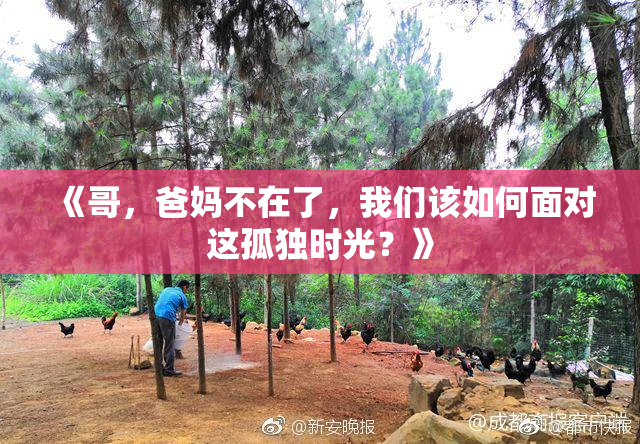 《哥，爸妈不在了，我们该如何面对这孤独时光？》