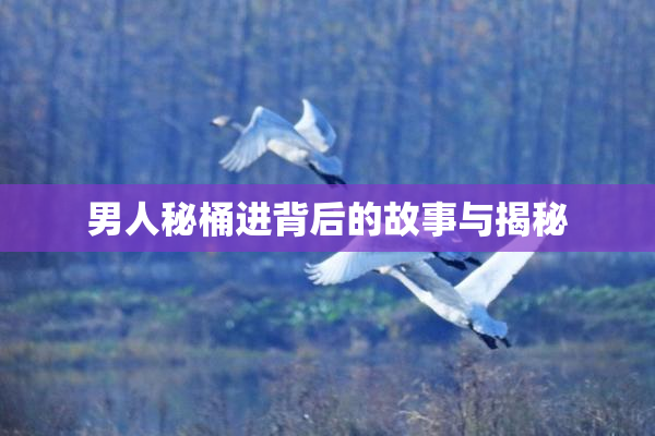 男人秘桶进背后的故事与揭秘