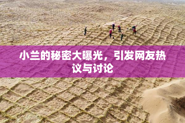 小兰的秘密大曝光，引发网友热议与讨论