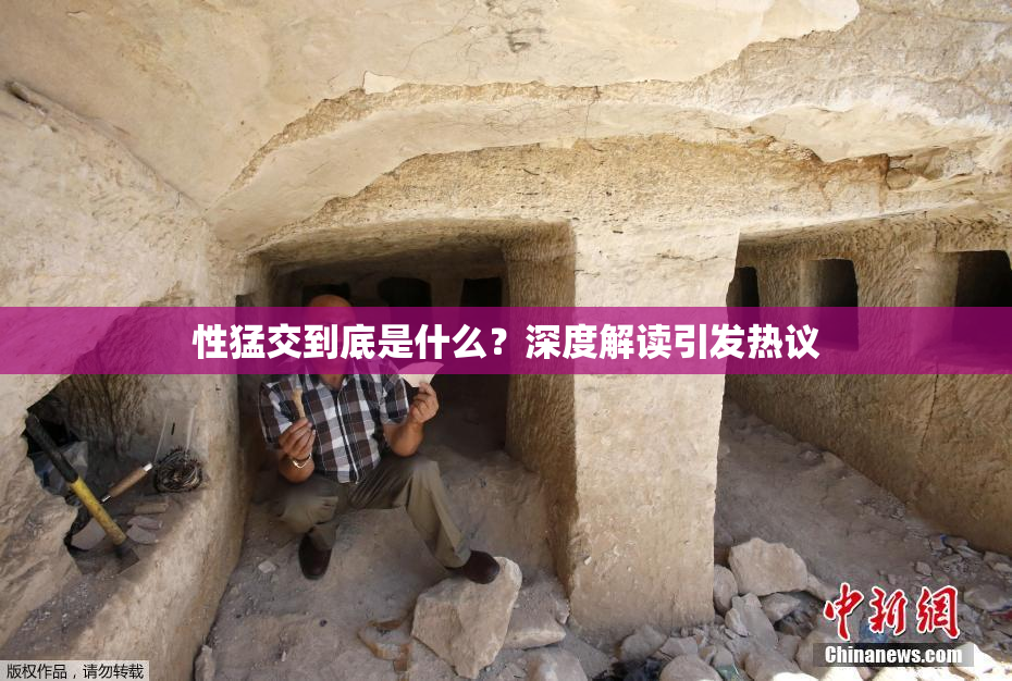 性猛交到底是什么？深度解读引发热议