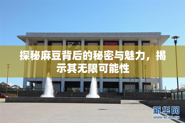 探秘麻豆背后的秘密与魅力，揭示其无限可能性