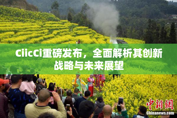 CiicCi重磅发布，全面解析其创新战略与未来展望