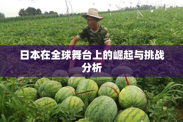 日本在全球舞台上的崛起与挑战分析