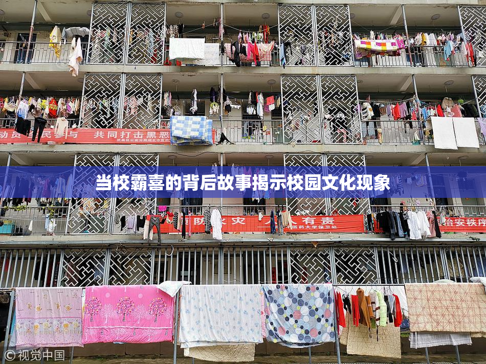 当校霸喜的背后故事揭示校园文化现象