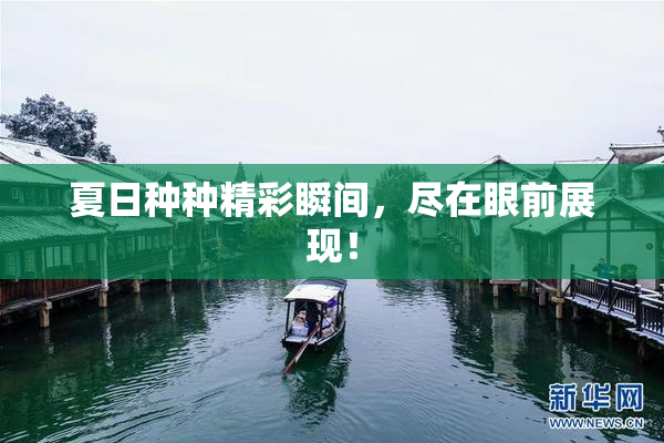 夏日种种精彩瞬间，尽在眼前展现！