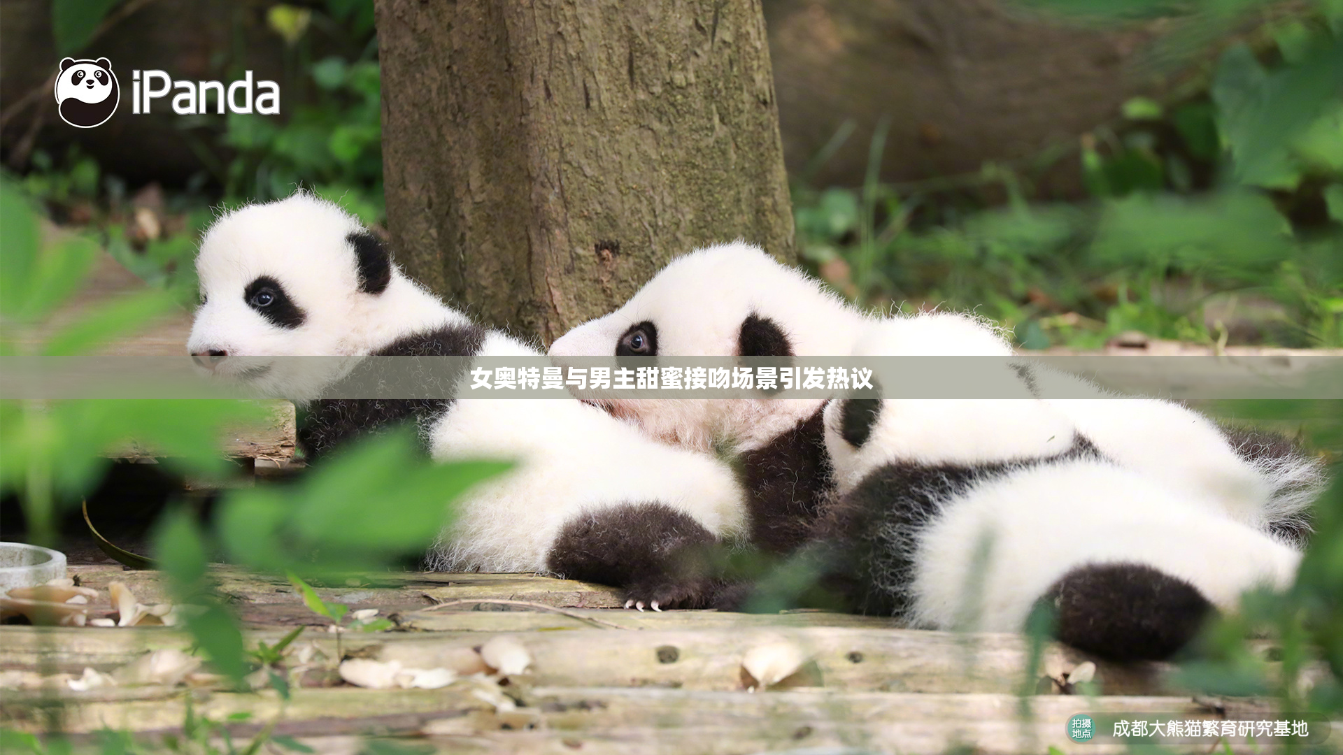 女奥特曼与男主甜蜜接吻场景引发热议