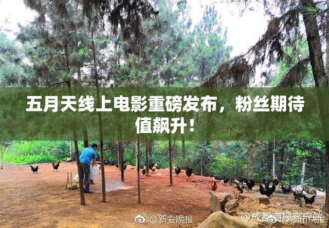 五月天线上电影重磅发布，粉丝期待值飙升！