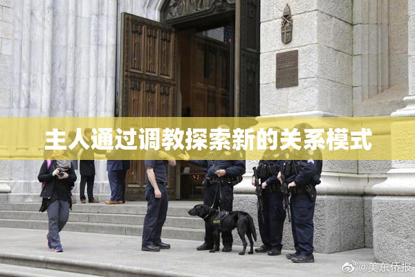 主人通过调教探索新的关系模式