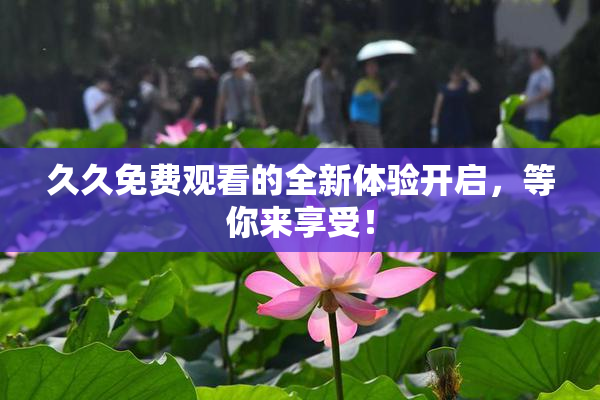 久久免费观看的全新体验开启，等你来享受！