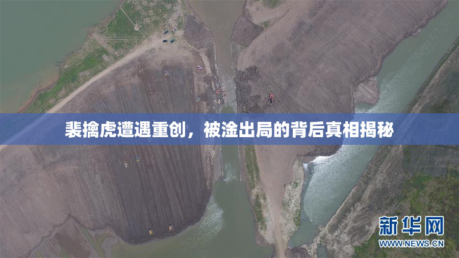 裴擒虎遭遇重创，被淦出局的背后真相揭秘