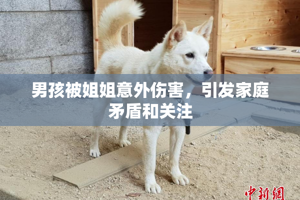 男孩被姐姐意外伤害，引发家庭矛盾和关注