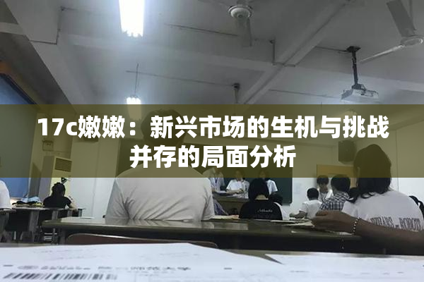 17c嫩嫩：新兴市场的生机与挑战并存的局面分析