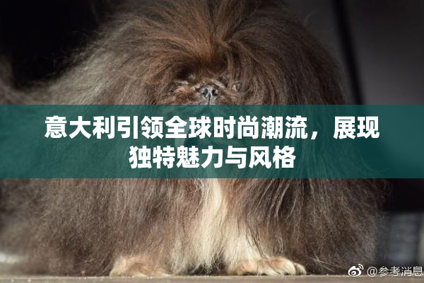 意大利引领全球时尚潮流，展现独特魅力与风格