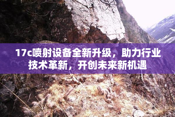 17c喷射设备全新升级，助力行业技术革新，开创未来新机遇