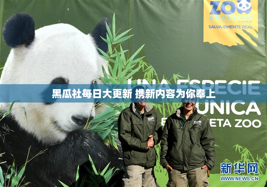 黑瓜社每日大更新 携新内容为你奉上