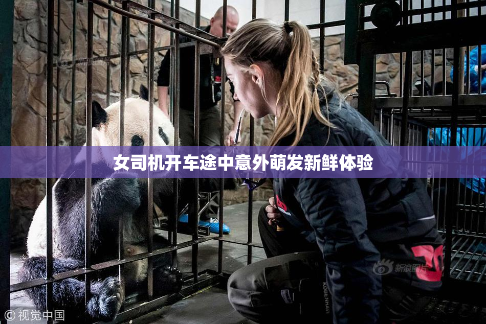 女司机开车途中意外萌发新鲜体验