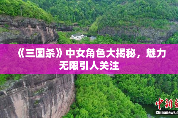 《三国杀》中女角色大揭秘，魅力无限引人关注
