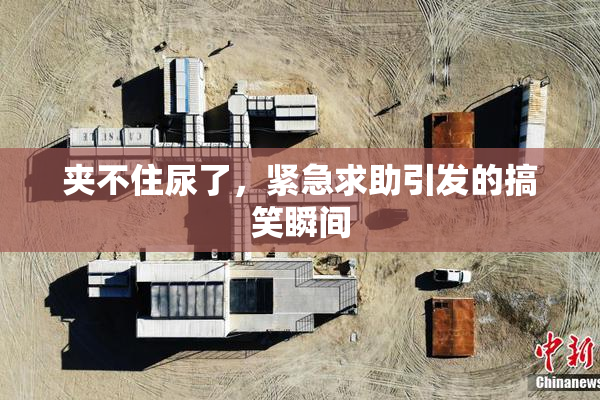 夹不住尿了，紧急求助引发的搞笑瞬间