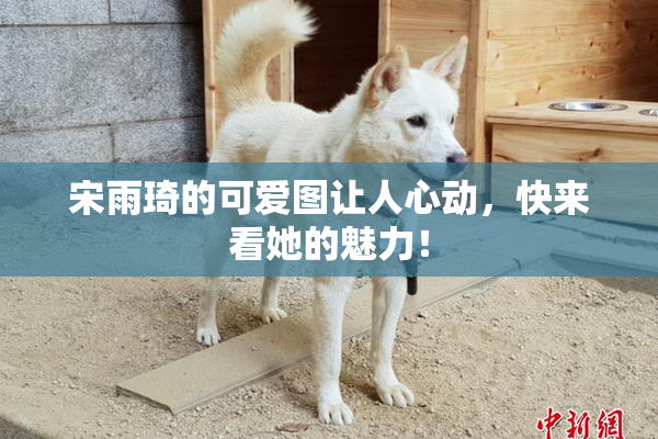 宋雨琦的可爱图让人心动，快来看她的魅力！