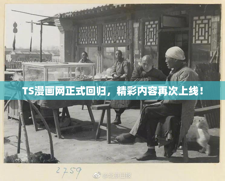 TS漫画网正式回归，精彩内容再次上线！
