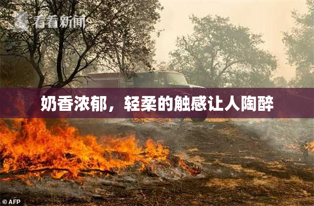 奶香浓郁，轻柔的触感让人陶醉
