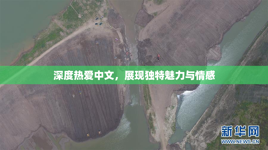 深度热爱中文，展现独特魅力与情感