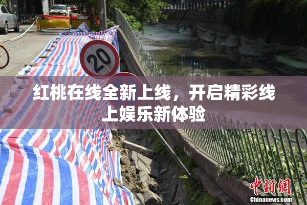 红桃在线全新上线，开启精彩线上娱乐新体验
