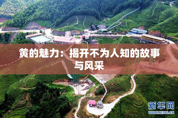 黄的魅力：揭开不为人知的故事与风采