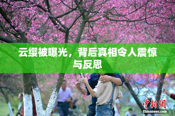 云缨被曝光，背后真相令人震惊与反思