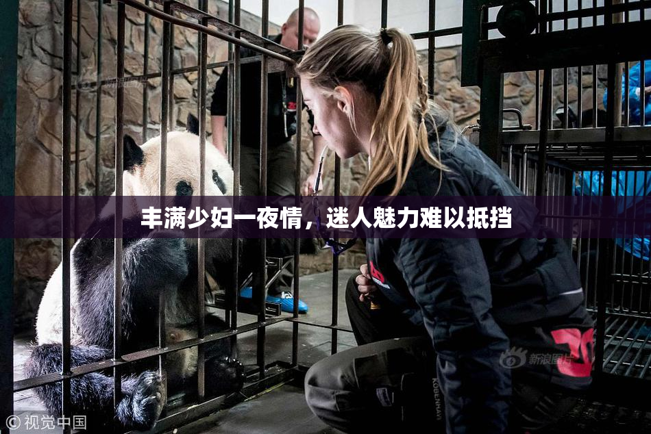 丰满少妇一夜情，迷人魅力难以抵挡