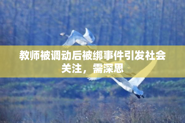 教师被调动后被绑事件引发社会关注，需深思