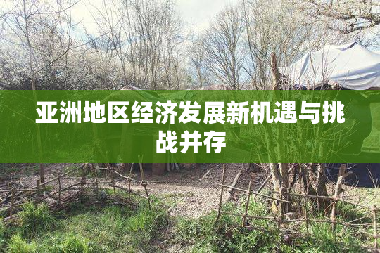 亚洲地区经济发展新机遇与挑战并存