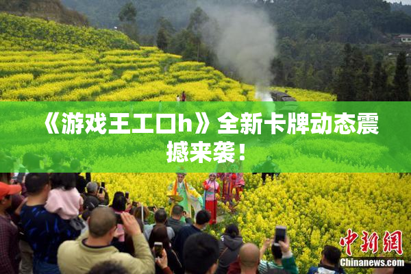 《游戏王工口h》全新卡牌动态震撼来袭！