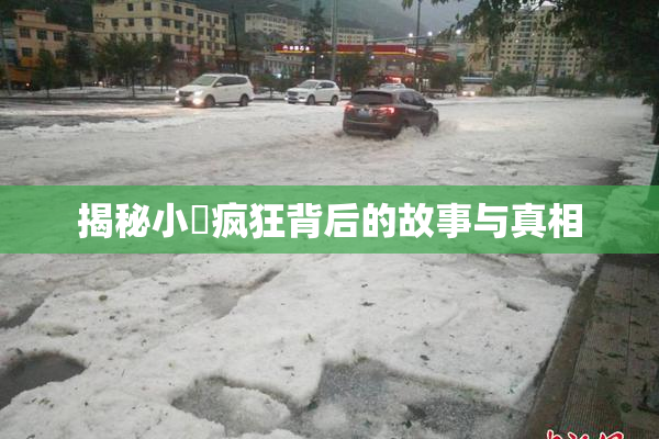 揭秘小泬疯狂背后的故事与真相