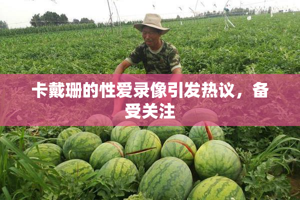 卡戴珊的性爱录像引发热议，备受关注