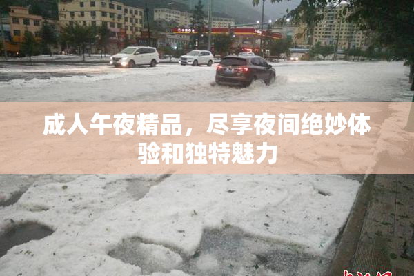 成人午夜精品，尽享夜间绝妙体验和独特魅力