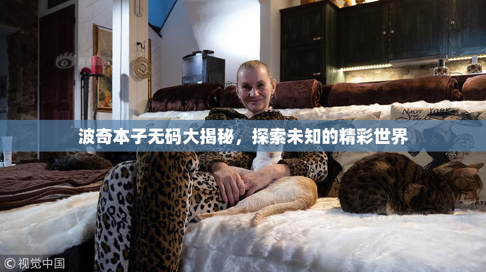 波奇本子无码大揭秘，探索未知的精彩世界
