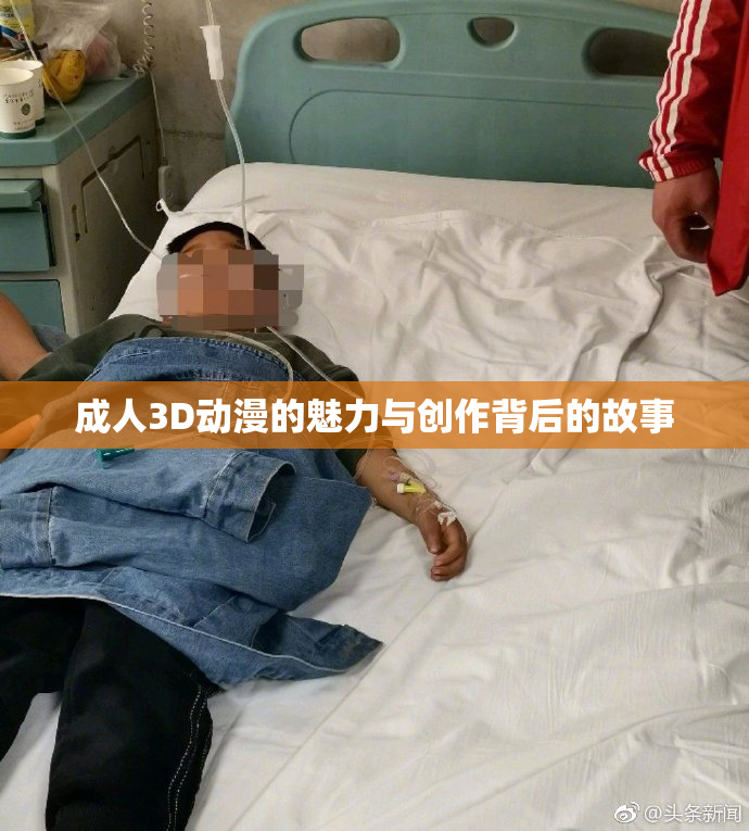 成人3D动漫的魅力与创作背后的故事