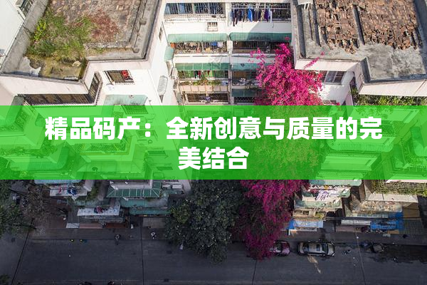 精品码产：全新创意与质量的完美结合