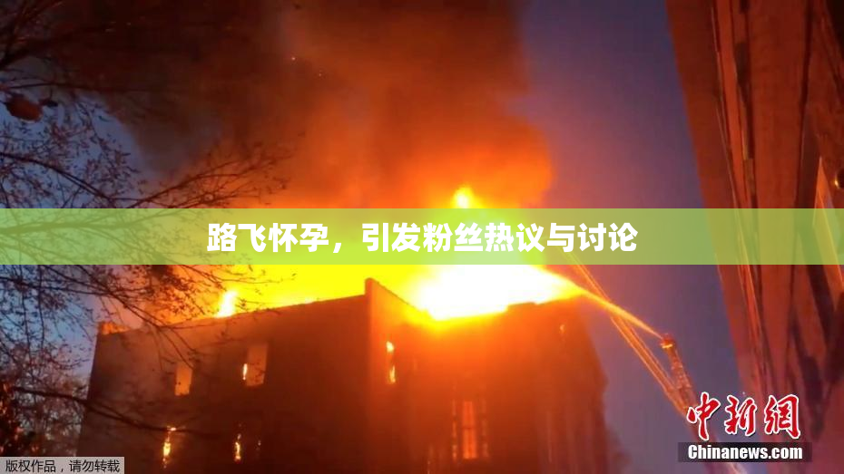 路飞怀孕，引发粉丝热议与讨论