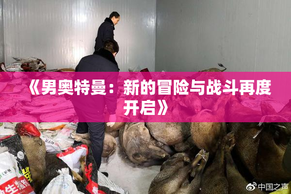 《男奥特曼：新的冒险与战斗再度开启》