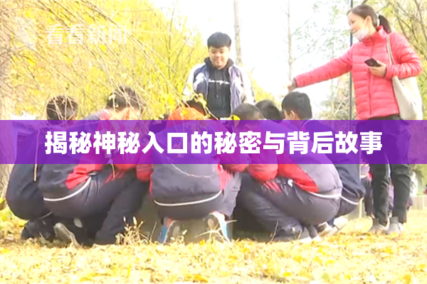 揭秘神秘入口的秘密与背后故事