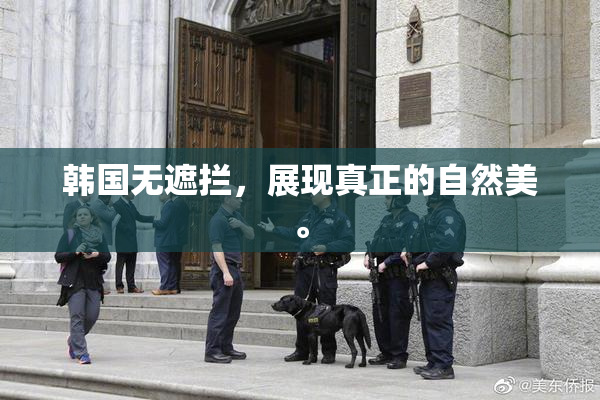 韩国无遮拦，展现真正的自然美。